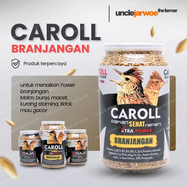 BRANJANGAN CAROLL Pengacor Burung Macet