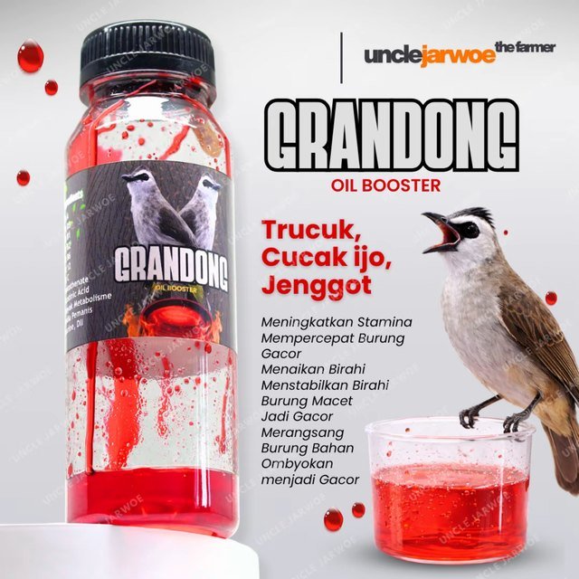 GRANDONG Vitamin Instan Penggacor