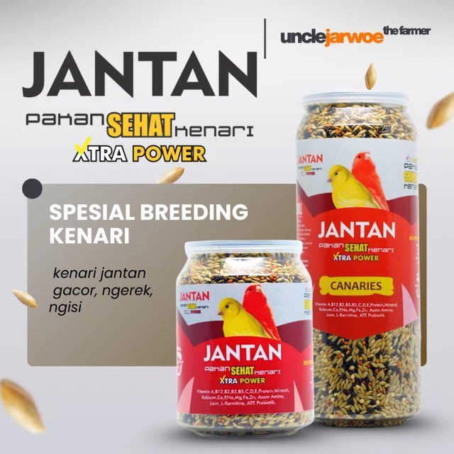 JANTAN Pakan Sehat Kenari