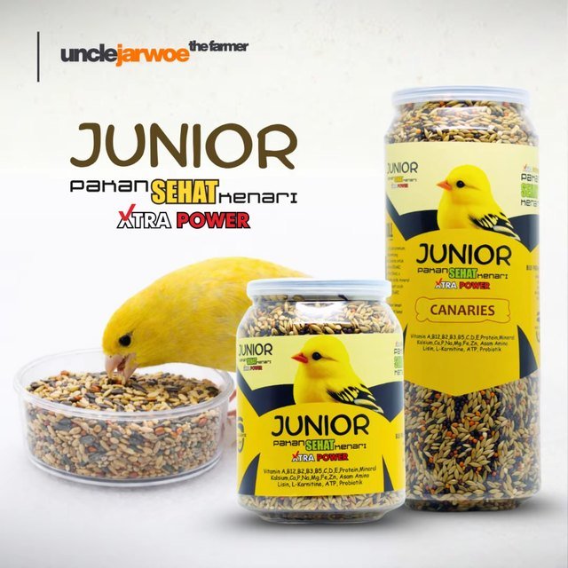 JUNIOR Pakan Kenari Paud