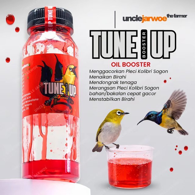 TUNE UP Vitamin Nektar Instan